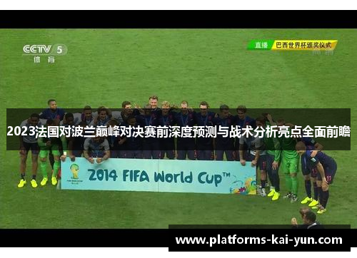 2023法国对波兰巅峰对决赛前深度预测与战术分析亮点全面前瞻