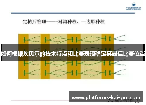如何根据坎贝尔的技术特点和比赛表现确定其最佳比赛位置