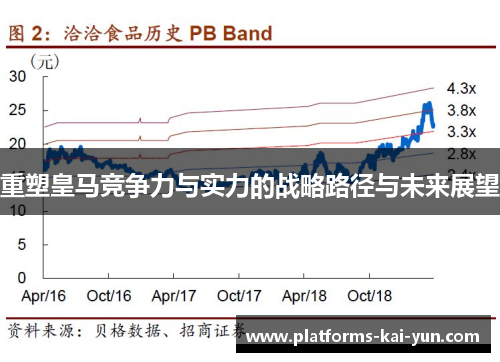 重塑皇马竞争力与实力的战略路径与未来展望 重塑皇马竞争力与实力的战略路径与未来展望
